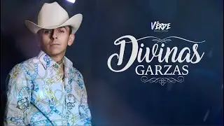 El Verde - Divinas Garzas ( Video Oficial )