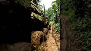 Heavy Logging Truck on Extreme Muddy Mountain Road #ai #automobile #aivideo