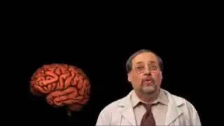Getty Images Scene from Brain Rules DVD