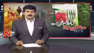 Farmers Lose Their Crops Due to Fake Seeds || Special Report || NTV