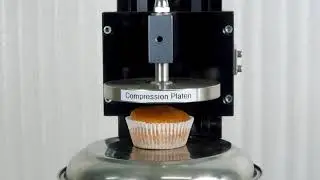 Bun / Cake Softness Test on Food Texture Analyser by PackTest.com