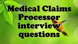 Medical Claims Processor interview questions