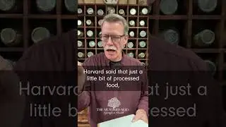 The Brain-Nutrition Connection Explained by Walt Cross #Shorts #WaltCross