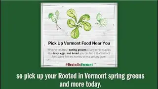 Rooted In Vermont Greens
