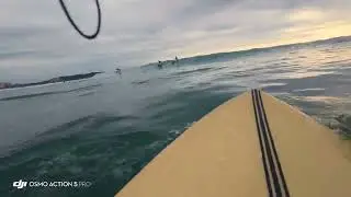 South swell shoulder to head high