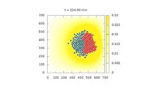 Simulation of (failure of) contact inhibition of locomotion