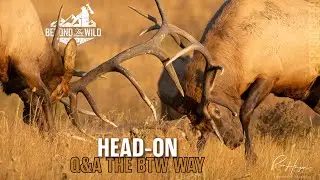 Episode 59: HEAD-ON - Q&A THE BTW WAY