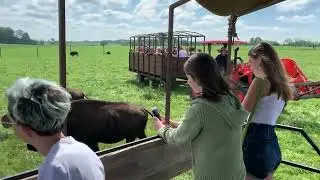 Buffalo Preserve