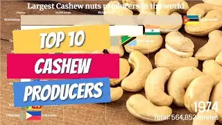 Top 10 Largest Cashew Producer Countries In The World