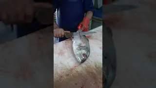 🐠 Fastest Fish Fillet EVER &ndash; You Can&rsquo;t Miss This! 🔥