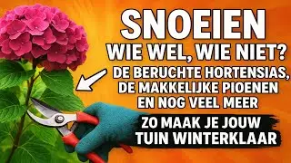 Snoeien: wie wel, wie niet? 🧐