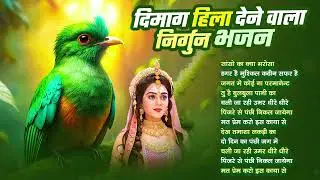 दिमाग हिला देने वाला निर्गुण भजन | Nonstop Nirgun Geet | Chetawani Bhajan 2026 | Nirgun Bhajan 2025