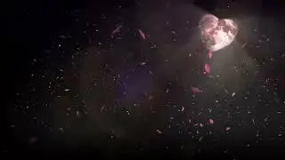 Cosmic Petal Rain | Lunar Ambience for Relaxation, Sleep & Focus,  Night Screen - Gentle Music.