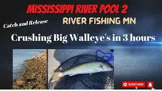 Mississippi River pool 2. Minnesota. Jigging Big Walleye's in Early Summer