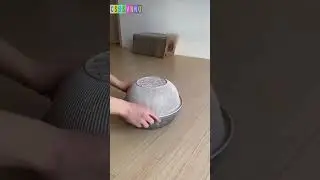 Будьте бдительны, орудуют напёрсточники! #новости #юмор #csbsvnnq