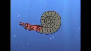 Walking With Dinosaurs 1999 Perisphinctes 🐟🦐🦀