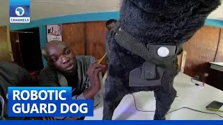 Nigerian Students Design Robotic Guard Dog + More Stories | Tech Trends