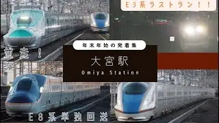 【大宮駅】E3系