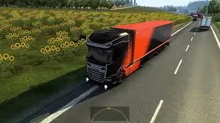 4603669 ETS2 Report