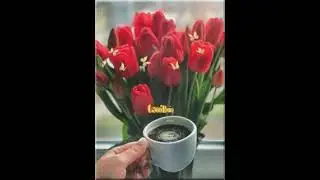 ❤️🧸🌷☕💋 EMB&Egrave;!!!FA FREDDO E DICEMBRE!!! BUONGIORNO PER TUTTO IL GIORNO...