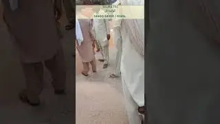 PAR: Gojra Ghalla Mandi Maize and Till Rates