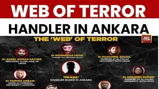 Doctors of Doom: 'White-Collar' Terror Web With Turkey Link Busted After Delhi Red Fort Blast.