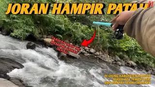 MANCING IKAN WERIK || TARIKAN IKAN MAHSSER MEMANG TIADA DUANYA PANIK TEGEK HAMPIR PATAH 😱😱