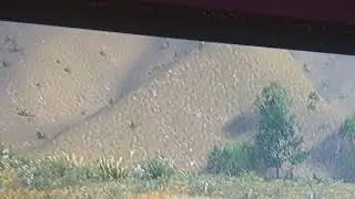 FHP help GSP