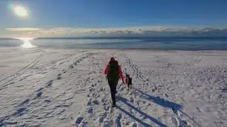 Pure Michigan #puremichigan #dogbackpack #hikingdog #beach #saugatuck