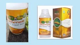 Suplemen ampuh Asam Lambung/Maag: QnC Gamat (Jelly Gamat Emas)