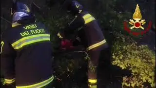 Maltempo in Calabria: quasi 300 interventi per alberi caduti e tetti scoperchiati
