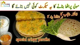 Dadi Amma Ki Special Moli Paratha Recipe |Moli Paratha Recipe | Special Crispy Moli Paratha 