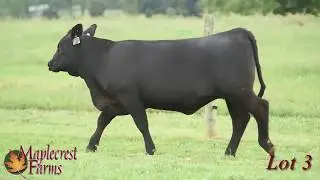 Lot 3, Maplecrest Eva A7211