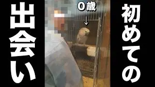 初公開！ゆきまる氏の小さい頃、出会ったころを振り返り