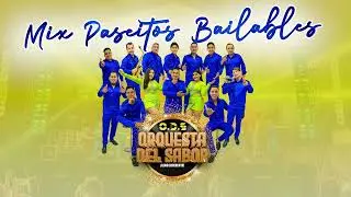 Mix Paseitos Bailables FIN DE AÑO 2025 - 2026 Orquesta del Sabor