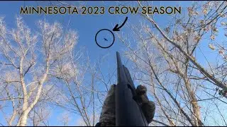 CROW HUNTING IN MY BACKYARD!! (2023 MN Crow season)