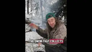 Постройка временного зимнего убежища для выживания с ночевкой в ​​палатке.