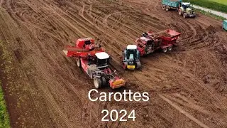 arrachage des carottes avec une dewulf EUREDEN