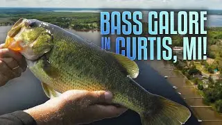 Bass Fishing Paradise: South Manistique Lake | Fisherman&rsquo;s Digest