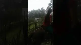 Pooja Patnitop