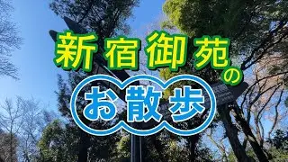 新宿御苑のお散歩【西エリア】2025/12