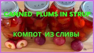 Plums Canned pitted  and whole plums with pits in syrup  How to preserve plums