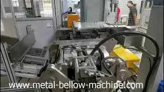 Automatic metal bellow forming machine