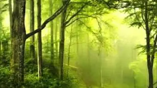 Elbe Baramhyr und der Mystische Heilgeist; das permanente physische Atom,    Einweihung in die h&ouml;her
