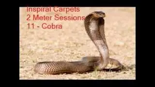 Inspiral Carpets - 2M two meter sessions - 11 - Cobra