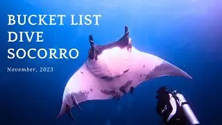 Bucket List - Dive Socorro