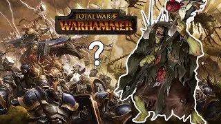 What Total War Warhammer Game Should be Next?