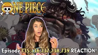 NANI?! KAIDO! One Piece Episode 735, 736, 737, 738, 739 REACTION!