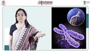 Development of gender identity (PSY)