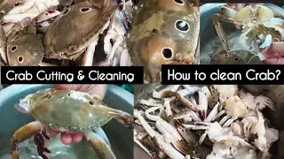 How to Clean And Cut Crab? 🦀 #crabcleaning #crab #Crab Cleaning video#youtube #video #cooking #fish 